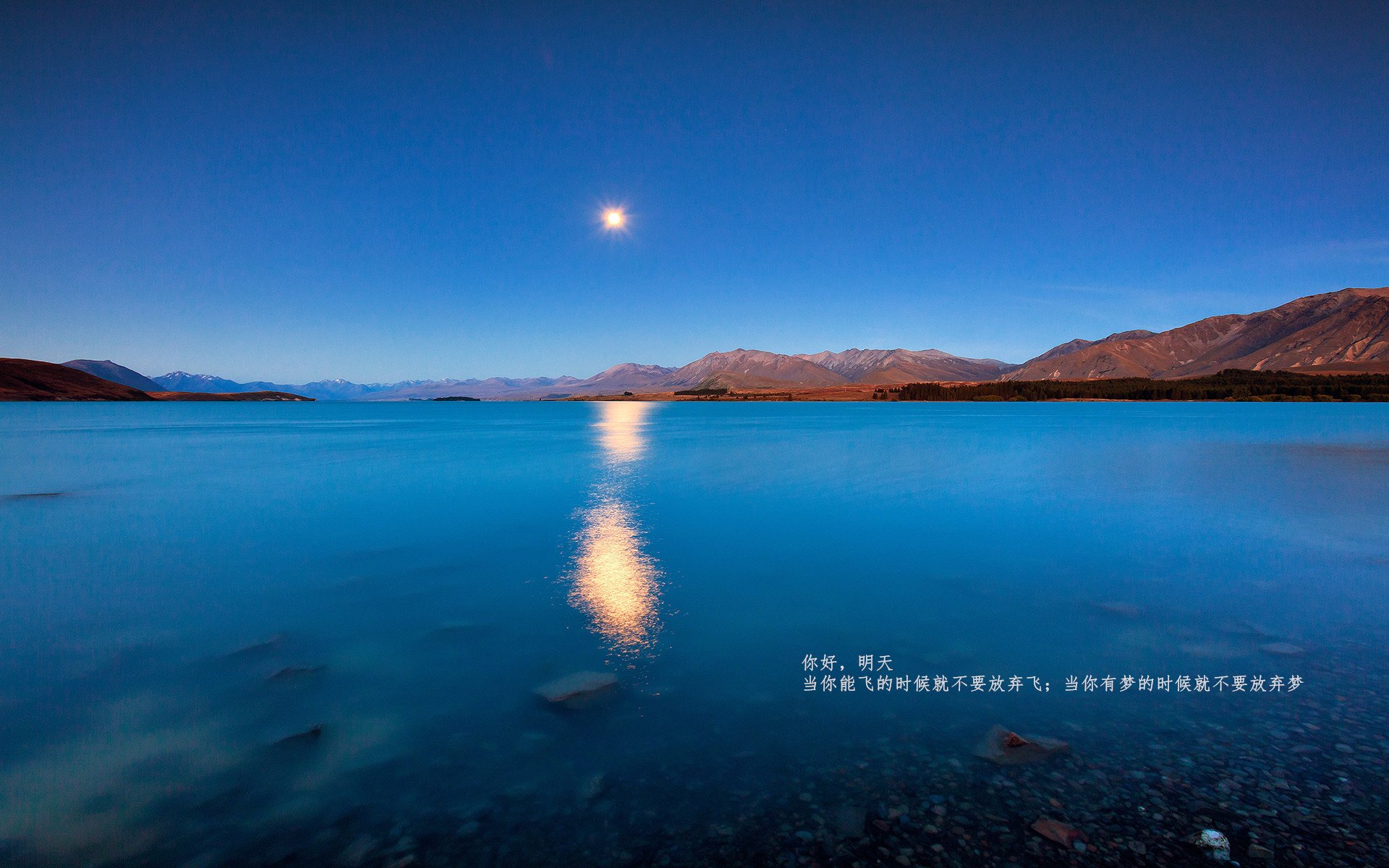 冰火对决,库尔图瓦烈焰之手如何点燃美国队的绝杀惊雷?