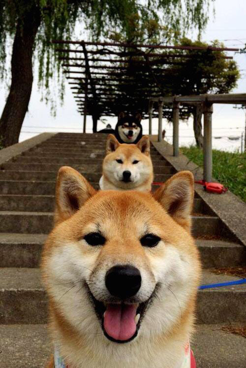 荷兰军团惊天逆转！本泽马戴帽救主，皇马客场4-3绝杀