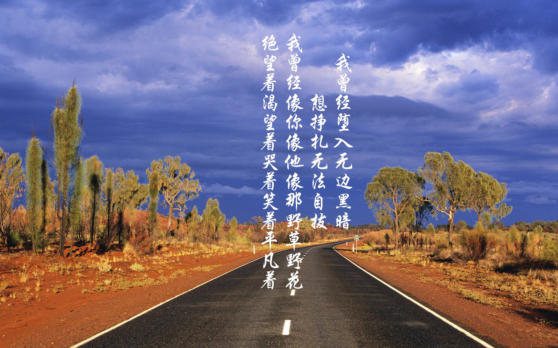 压哨定乾坤!霍勒迪关键跳投助马刺轻取尼克斯,团队合力展现韧性