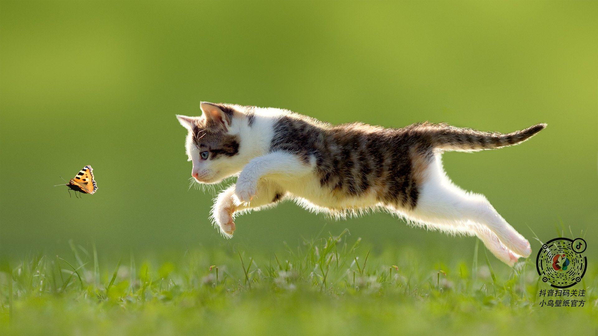 风暴眼中的守护者,恩比德以巨人之躯,扼住雷霆万钧的咽喉