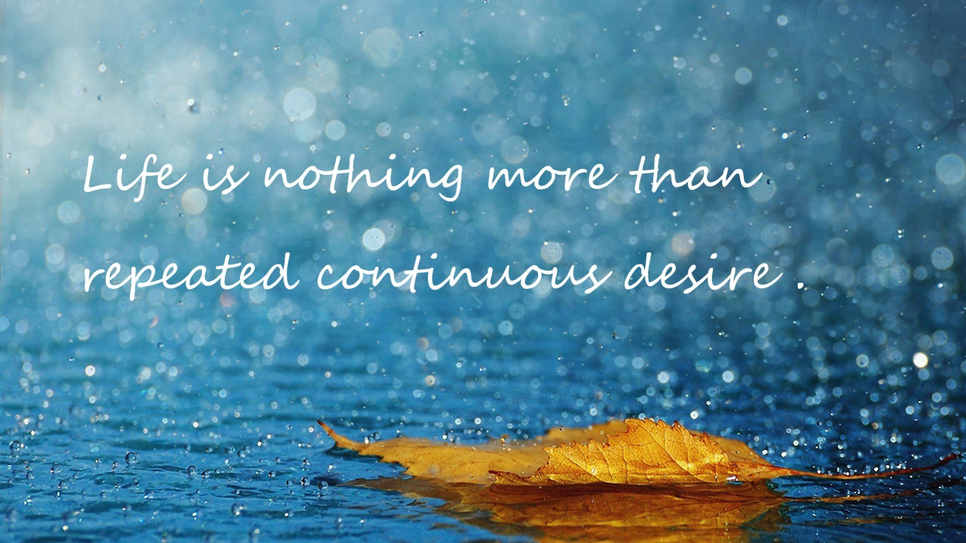 武切维奇爆发难救主！米切尔导演逆转，骑士压哨绝杀76人