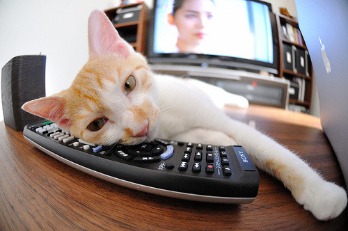 戈麦斯归来！那一夜，他用最后一粒德甲进球，刺穿了宿敌的胸膛