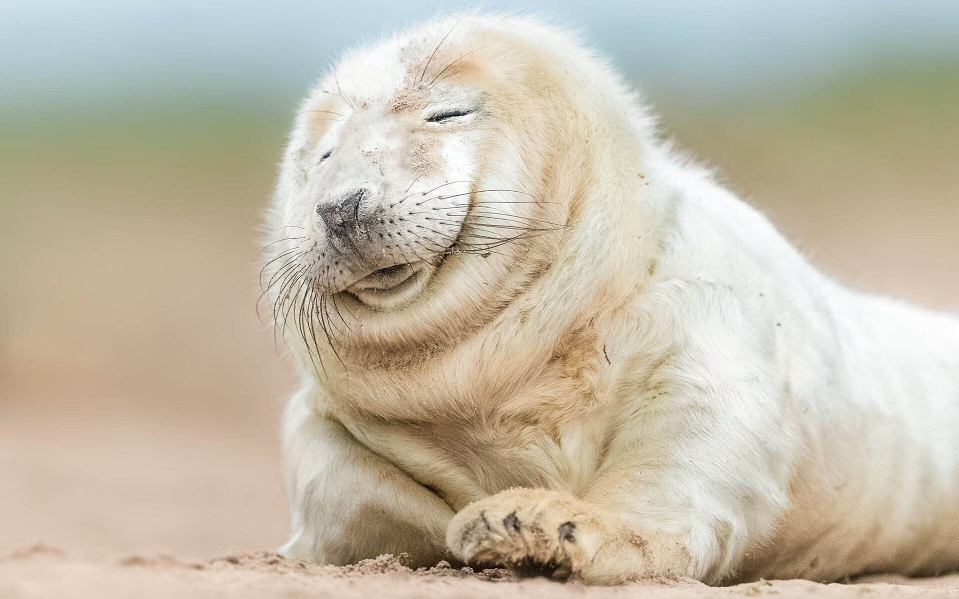 爱游戏体育-库里的尺度