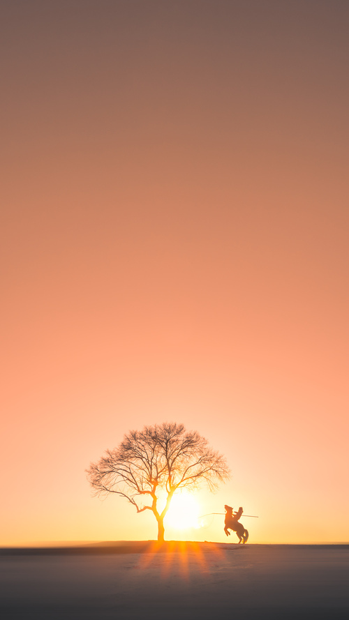 当罗德里将贝尔的眼泪酿成美酒，那场定义时代的梅阿查奇迹